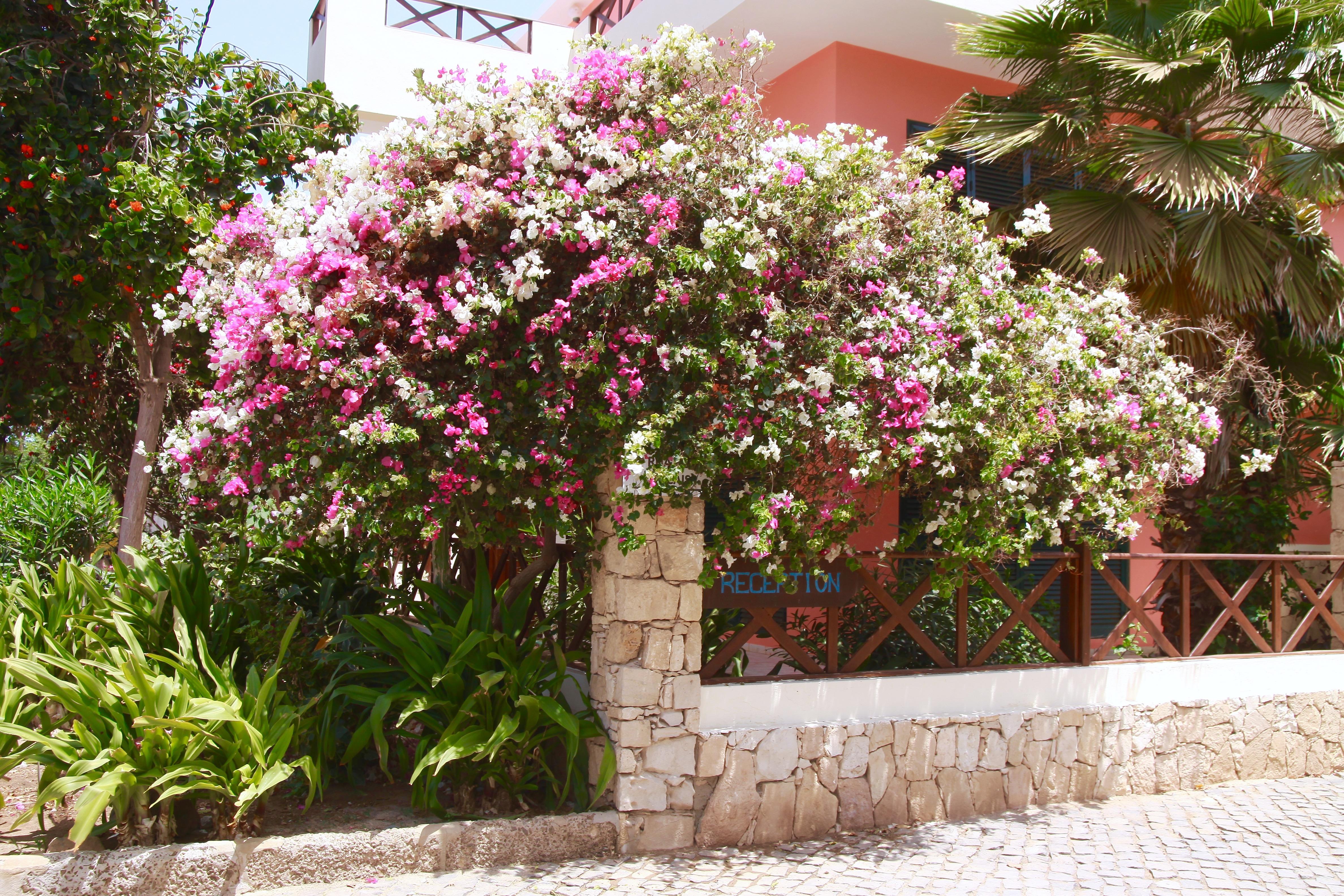 Aparthotel Ponta Preta Santa Maria Esterno foto